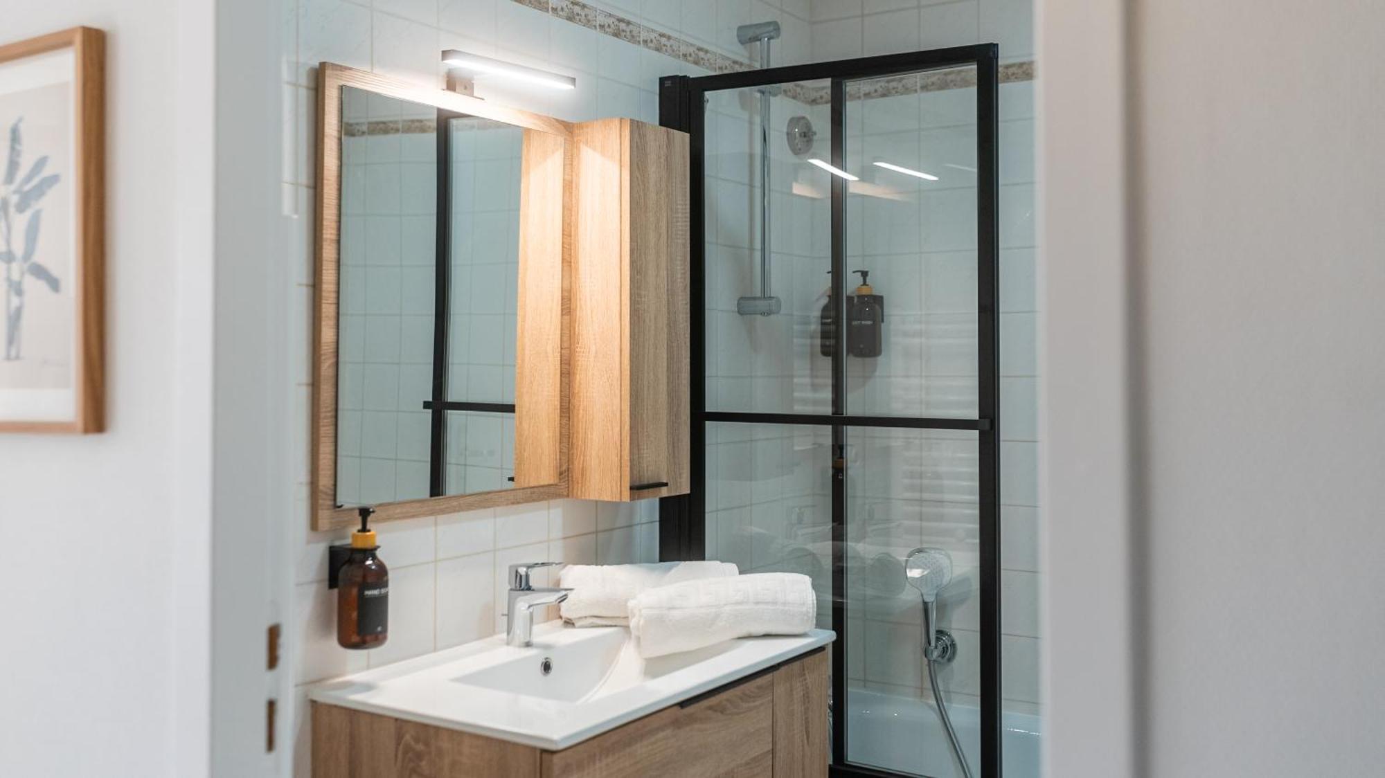 Apartment Lac-montagne-leman-2- Pandore Annemasse
